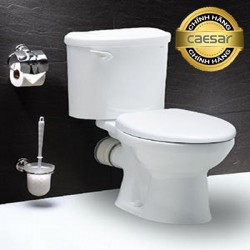 Bàn cầu hai khối thoát ngang CPT1332